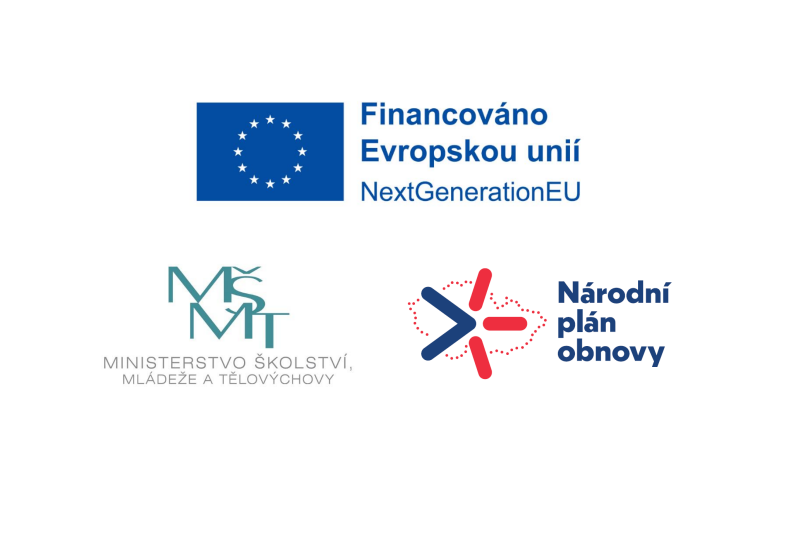 Doučování žáků škol