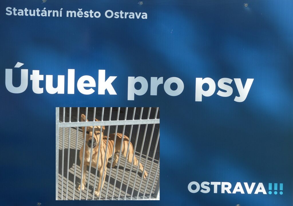 útulek pro zvířata – Etologické pozorování