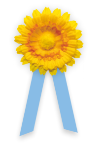 Obrázek k akci: Květinový den – charitativní sbírka