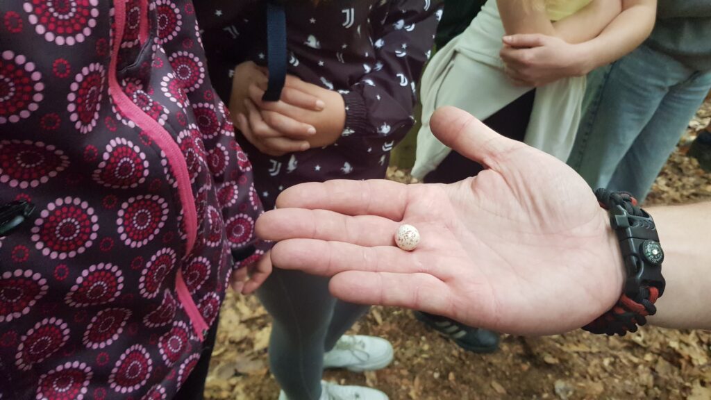 Hnízdění ptactva pod dozorem primánů