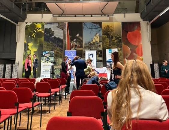 Regionální konference Evropského mládežnického parlamentu (EYP)