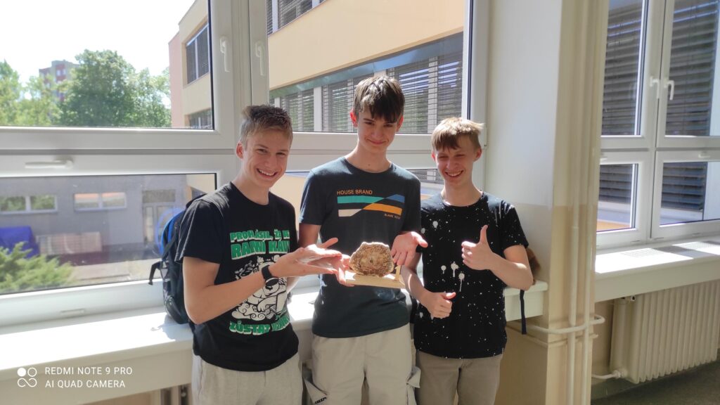 Soutěž Geologické kladívko 2025 aneb Zlatí hoši z naší školy