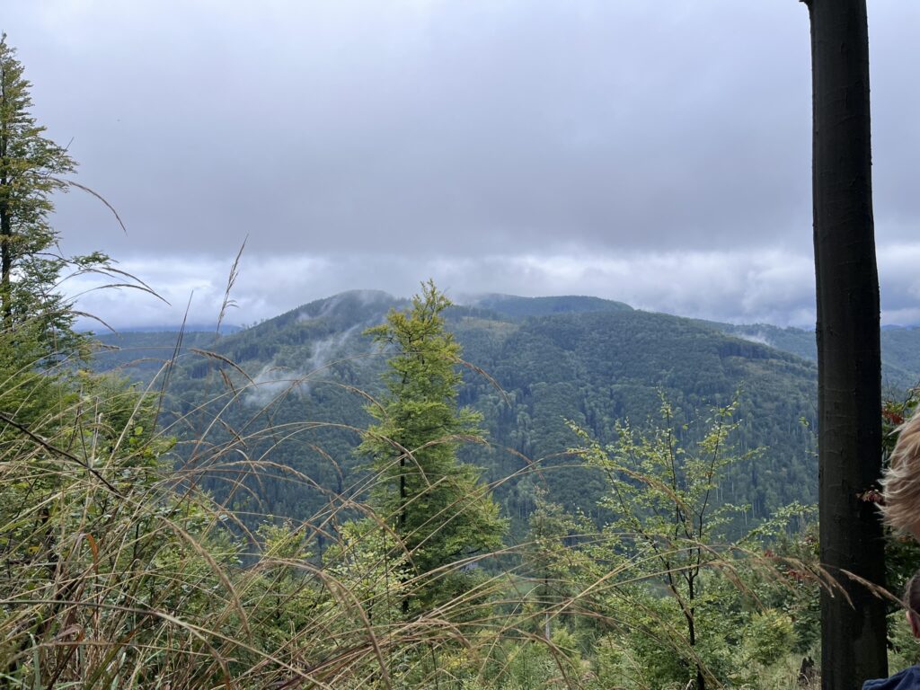 Exkurze v pralese Mionší a zážitkový program v ekologickém centru Ursus v Dolní Lomné