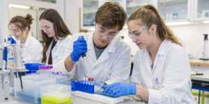 Obrázek k akci: Kurz genetiky a molekulární biologie